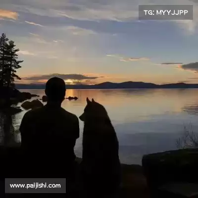 蔡妍